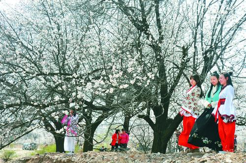 九球直播免费体育直播小仙儿